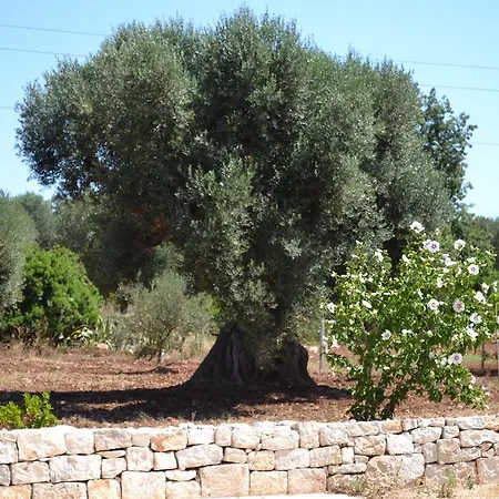 Borgoanticobeb דירה קרוביניו